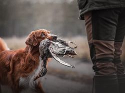 Karya Memukau Jawara Sony World Photography Awards 2020