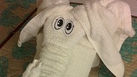 Handuk-handuk ini di tata di kasur, digantung di hanger, di kamar mandi dan juga di sofa kamar. (Twitter)
