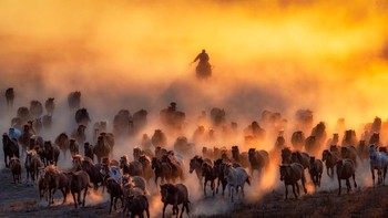 National Awards dari Malaysia dimenangi Tien Sang Kok. Foto: Sony World Photography Awards 2020