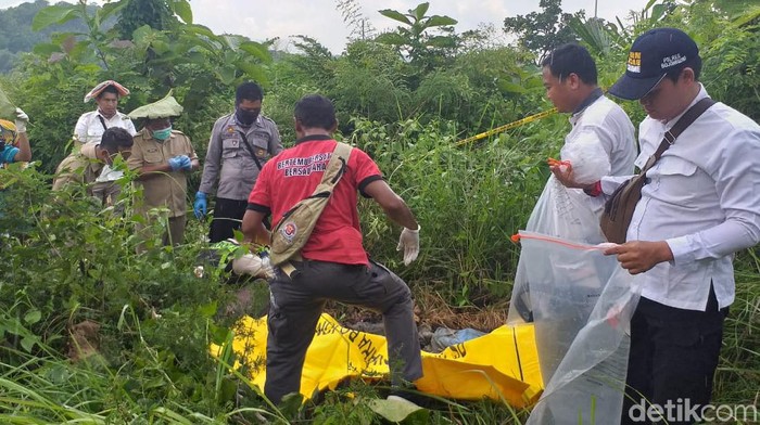 Kerangka Manusia ditemukan Warga Di Hutan Jati Bojonegoro
