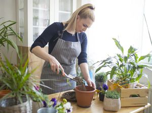 Cara Merawat Alat Berkebun Supaya Awet
