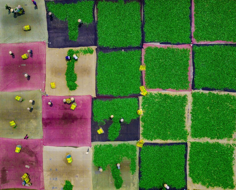 Sony World Photography Awards 2020