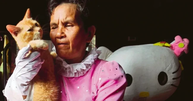 Demi Kucing, Orang-orang Ini Rela Jadi Badut hingga Gelandangan
