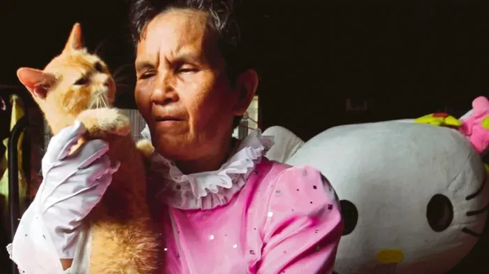 Berbuat Kebaikan untuk Kucing Berbuat Kebaikan untuk Kucing