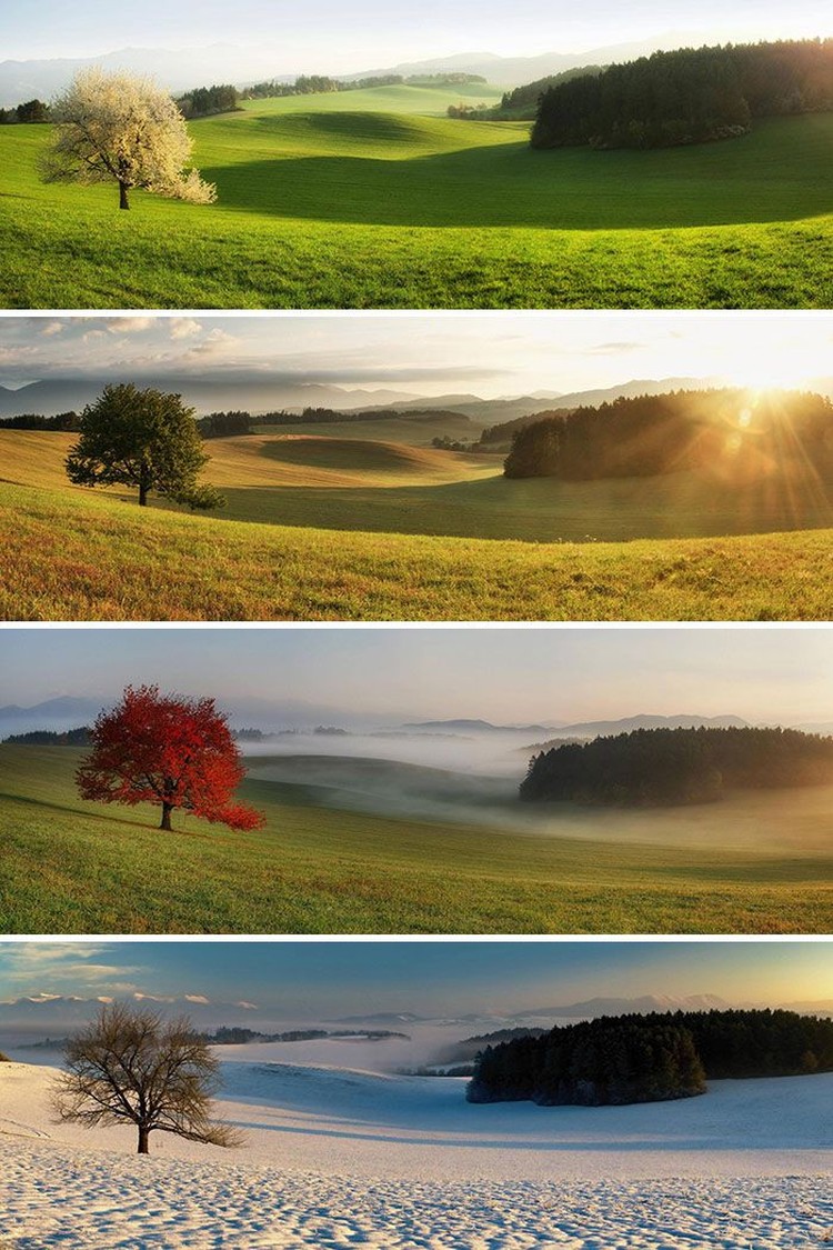 Foto perbandingan