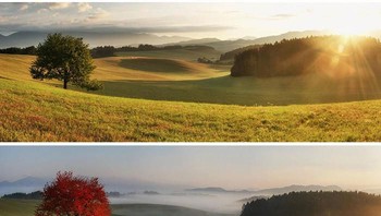 Perbandingan foto di satu lokasi dalam empat musim. Lokasinya di Žabokreky, Slovakia Foto: Bored Panda