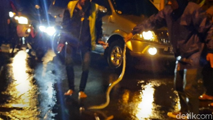 Seekor ular ditemukan saat banjir di Simpang Empat Empan Kamdanen, Sleman, Selasa (3/3/2020).