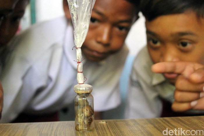 Warga Ciamis dibuat heboh dengan penemuan sosok misterius yang diduga menyerupai tuyul. Sosok itu berada dalam sebuah botol. Penasaran? Berikut penampakannya.