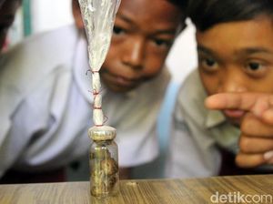 Aneka Tuyul Bikin Geger Jabar: Berwajah Seram-Mirip Bayi