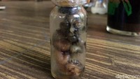 Warga Ciamis, Jawa Barat, digegerkan oleh penemuan sosok misterius diduga menyerupai tuyul di dalam sebuah botol kecil.