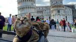 Potret Gemasnya Kucing Ini Traveling Keliling Eropa
