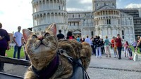 Perjalanan berlanjut ke Italia. Quita sempat berkunjung Vatikan, lalu Troyes, Mont Blanc, Pisa, Milan, Roma, Florence, Bologna, Innsbruck, Munich, Nuremberg, dan Saarbrucken. Dalam perjalanan tersebut, Quita ditemani Coco Lee yang membantunya meredakan rasa takut. (Foto: Instagram @quitathekitty)