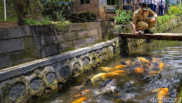 sungai ikan