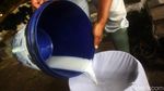 Melihat Industri Susu Sapi Perah di Desa Cipanas