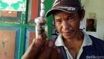 Sosok Tuyul dalam Botol Ini Bikin Geger Warga Ciamis