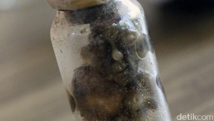 Warga Ciamis dibuat heboh dengan penemuan sosok misterius yang diduga menyerupai tuyul. Sosok itu berada dalam sebuah botol. Penasaran? Berikut penampakannya.