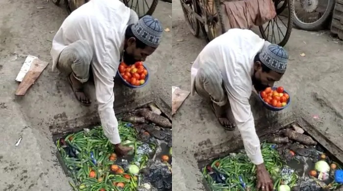pria pungut sayuran