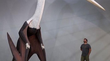Perbandingan Quetzalcoatlus dengan manusia. Quetzalcoatlus adalah seekor Pterosaur, sekaligus hewan terbang terbesar dalam sejarah. Lebar sayap yang terbesar sepanjang 12 meter. Foto: Bored Panda
