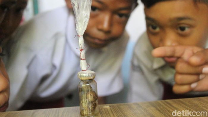 Heboh penemuan sosok di botol menyerupa tuyul di Ciamis