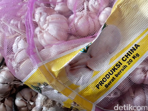 Mendag Bebaskan Impor Bawang Putih, Kementan: Tak Bisa!