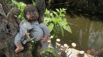 Seram Banget! Pulau Boneka Ini Tak Cocok untuk Anak-Anak