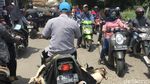 Sama-sama Membahayakan! Antara Kambing dan Muatan Berlebih
