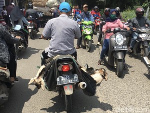 Bakal Banyak Motor Berubah Fungsi, Tidak Hanya Bawa Penumpang