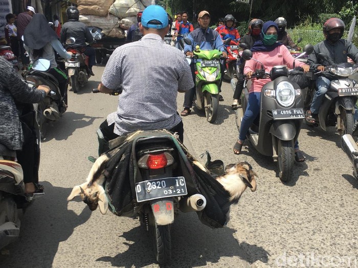Ada-ada saja aktivitas para pengendara yang melintas di jalan. Mulai dari pengendara motor yang membawa kambing hingga mobil dengan muatan berlebih.