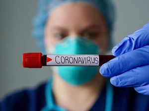 Ciri-ciri Virus Corona dan Penyebarannya, 323 Pasien di Jakarta Diawasi