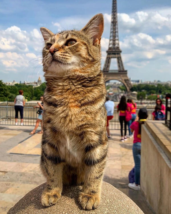 Setelah itu mereka beranjak ke Prancis. Di sana mereka sempat mampir ke Provence, Champeaux, Paris dan tentunya ke Menara Eiffel. (Foto: Instagram @quitathekitty) Setelah itu mereka beranjak ke Prancis. Di sana mereka sempat mampir ke Provence, Champeaux, Paris dan tentunya ke Menara Eiffel. (Foto: Instagram @quitathekitty)