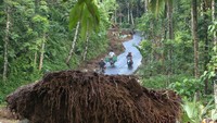 Tanah longsor yang membawa material lumpur dan pepohonan pada selasa (3/3) malam akibat hujan deras itu, mengakibatkan sebagian akses jalan tertutup material longsoran dan menutup saluran air.
