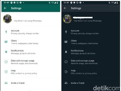 Resmi Melenggang, Begini Tampilan Dark Mode WhatsApp