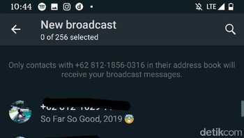 WhatsApp mengatakan bahwa fitur dark mode dirancang untuk mengurangi ketegangan mata di lingkungan dengan cahaya rendah. Foto: detikINET/Agus Tri Haryanto