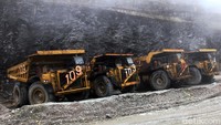 Dia berpendapat kebijakan mengambil alih saham PT Freeport Indonesia sebesar 51% melalui PT Inalum (Persero) sangatlah tepat dan layak.