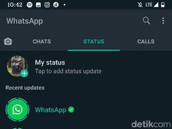 Resmi Melenggang, Begini Tampilan Dark Mode WhatsApp