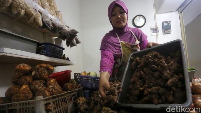 Tjahjo Kumolo Beberkan PNS Berhubungan Sesama Jenis