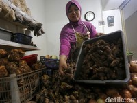 Tjahjo Kumolo Beberkan PNS Berhubungan Sesama Jenis