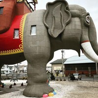 Bangunan bersejarah ini sudah berdiri sejak tahun 1881. Bangunan ini pernah menjadi rumah keluarga pada tahun 1902. Masih di tahun yang sama, bangunan ini juga sempat dijadikan sebagai kedai minuman sebelum akhirnya menjadi objek wisata.  Foto: Instagram Lucy The Elephant