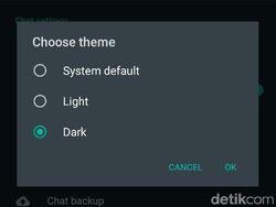 Resmi Melenggang, Begini Tampilan Dark Mode WhatsApp