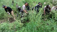 Petugas TNI-Polri juga dibantu petugas dari Kejaksaan dan unsur Pemkab Aceh Besar.