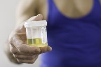 Viral Video ART Campur Urine ke Makanan Majikan, Ini Faktanya!