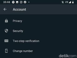 Resmi Melenggang, Begini Tampilan Dark Mode WhatsApp