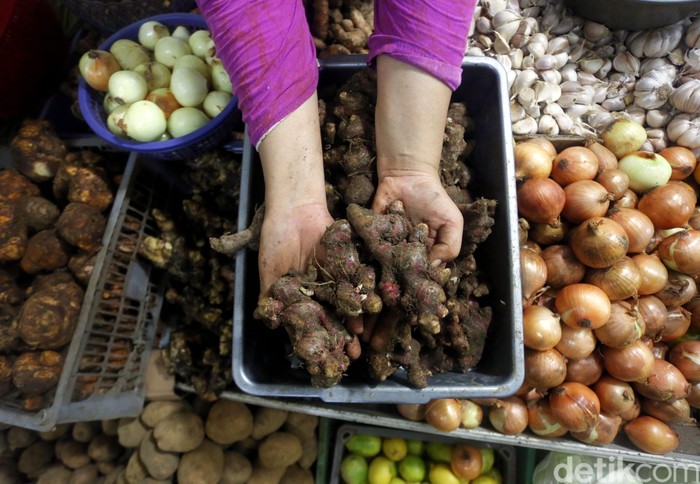 Harga Jahe Merah Meroket Imbas Corona Merebaknya isu corona di Indonesia membuat harga jahe merah meroket. Di Pasar Rumput, harga jahe merah mencapai Rp 90 ribu per kilogram.
