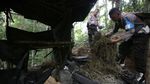 TNI-Polri Musnahkan Lima Hektare Ladang Ganja di Aceh
