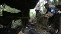 Petugas juga mengamankan beberapa karung ganja kering di pondok sekitar lokasi.