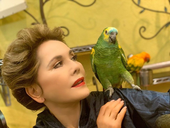 Sosok Dewi Soekarno pernah menjadi kontroversi di Indonesia ketika merilis buku Madame de Syuga. Buku yang sebenarnya hanya dirilis di Jepang itu menampilkan foto-fotonya nyaris tanpa busana. Foto: Instagram @dewisukarnoofficial