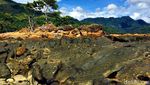Si Cantik dari Majene, Pantai Batu Taka Urung