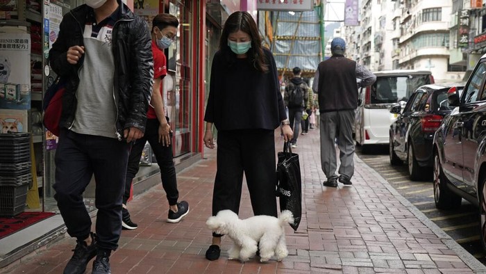 Anjing Peliharaan di Hong Kong Positif Virus Corona Seekor anjing peliharaan di Hong Kong dikarantina usai positif virus corona COVID-19. Anjing itu diduga terinfeksi corona dari sang majikan.