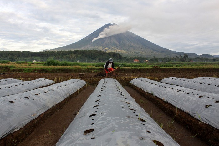 Refleksi Gunung Semeru yang mengeluarkan awan panas dari kawasan Pranajiwo, Lumajang, Jawa Timur, Kamis (5/3/2020). Aktivitas vulkanik Gunung Semeru meningkat sejak sepekan terakhir dengan mengeluarkan awan panas sejauh tiga kilometer dan intensitas delapan kali guguran lava pijar dengan status level II atau waspada. ANTARA FOTO/Umarul Faruq/wsj.