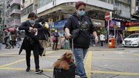 Belum lama ini dikabarkan seekor anjing di Hong Kong terdeteksi memiliki virus corona. Usai diteliti para ilmuwan kini sepakat bahwa anjing tersebut mengalami infeksi tingkat rendah diduga dari sang majikan yang juga positif virus corona.